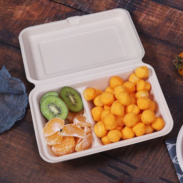 7 X 5in Biodegradable Sugarcane Bagasse Pulp Hinged Food Container Take Out Lunch Box