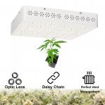 Indoor Planting 400W COB LED Grow Light Panel For Seed Starting IP54