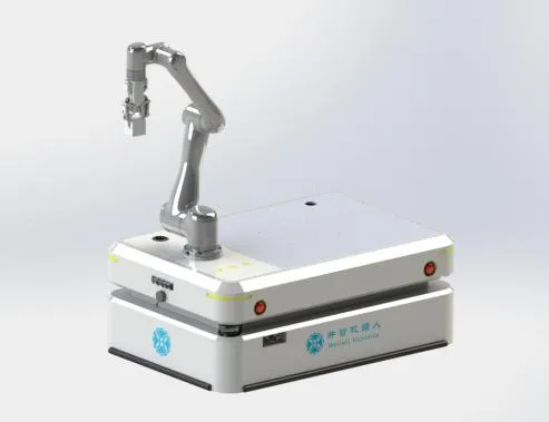 Wellwit ODM OEM Composite Robot Costomized Collaborative Robot with Qr Code Navigation