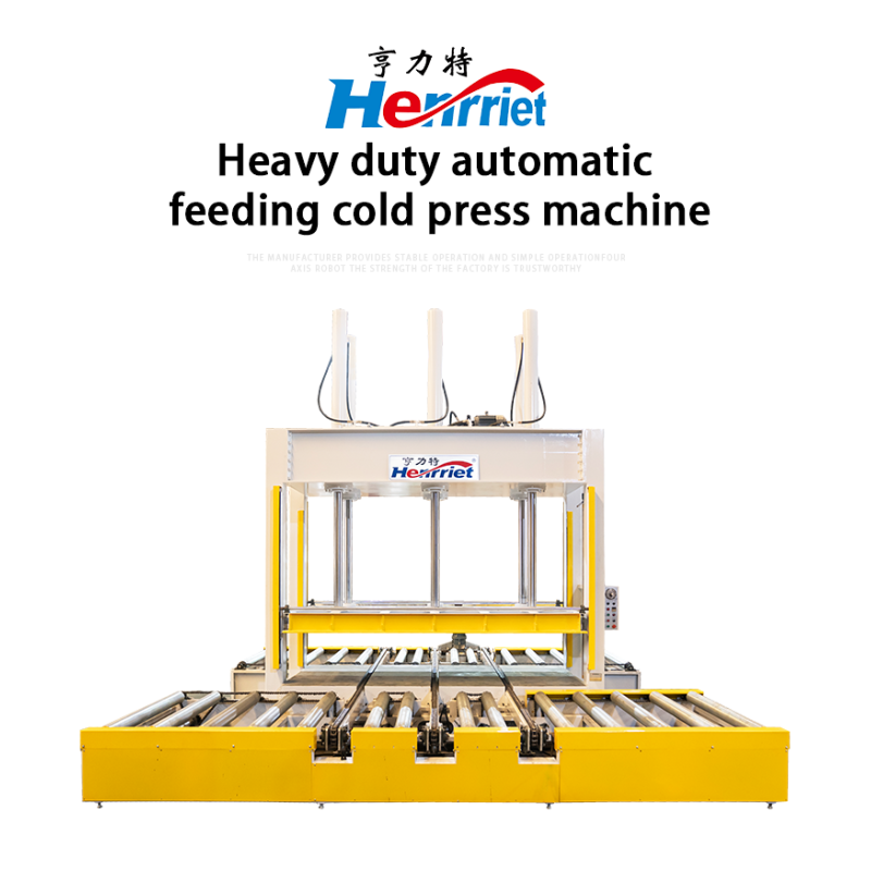 Double-Sided Automatic Conveying Cold Press Machine with 160 Ton Maximum Pressure and 3300*1800mm Pressure Plate Size