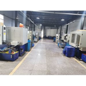 Changzhou Lisongtai Industrial Motion Technology Co.,LtD