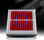 High Power Red Orange 150w Led Plant Growing Lights 6500k For Horticulture