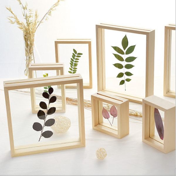Creative Solid Wood and Acrylic Double-Sided Plant Specimen Transparent Frame Original Wood Color 3D Picture Frame Background Wall