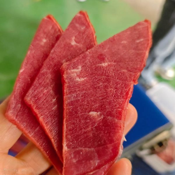 JY-25K Horizontal Frozen Meat Slicer Machine with Outfeed Conveyor Belt For Food Processing Companies