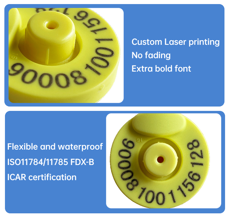 High Performance RFID Ear Tags With FULL ICAR Certification Premium Livestock Tracking Solution