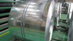 Regular Spangle Z10 / Z27 Zinc Coating 30mm to 400mm Hot Dipped Galvanized Steel