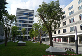 REDEMAPLE ELECTRONICS CO.,LIMITED