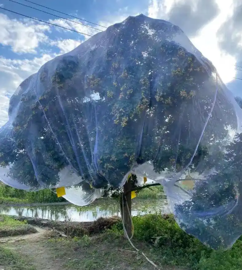 High Density Mesh Insect Net Greenhouse Farm Vegetable Insect Screen