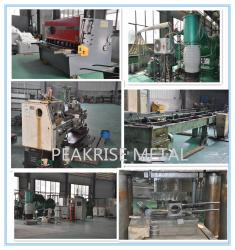 Shaanxi Peakrise Metal Co.,Ltd