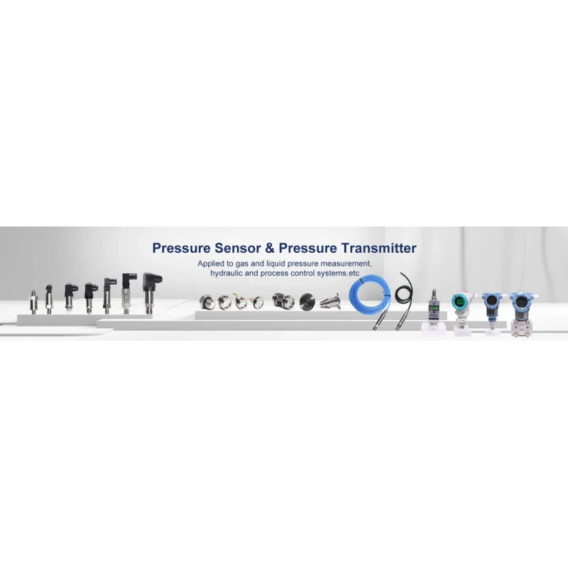 BH93420-III liquid level measurement transmitter with display