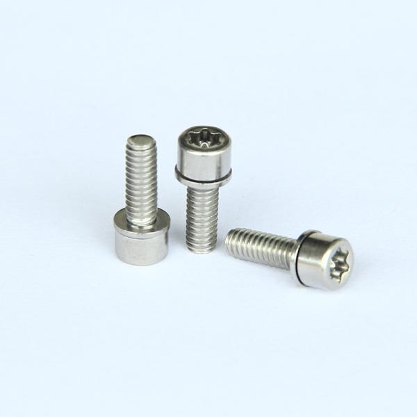 316 Stainless Steel DIN912 Torx Socket Head Machine screws 316 Stainless Steel DIN912 Torx Socket Head Machine screws