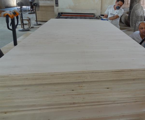 Formwork Concret Poplar 1250*2500mm Film Faced Plywood