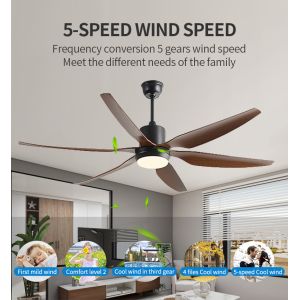 Factory 66 Inch Indoor Decorative Ceiling Fan With Led Light 3 Colour Change Fan