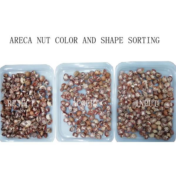 Peeled Peanut Almond Walnut Raisin Color Sorting Machine CCD 5 Chutes