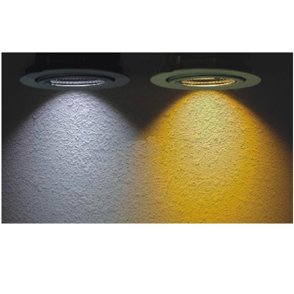 LHHY-THPK-12W-C LED Spotlight Lamp LED Ceiling Light 12w 3000 - 6500K