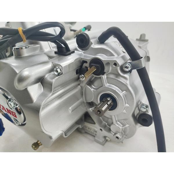 Complete Motorcycle Nature 110CC Engine Cylinder Style A Class Origin Ignition CCC