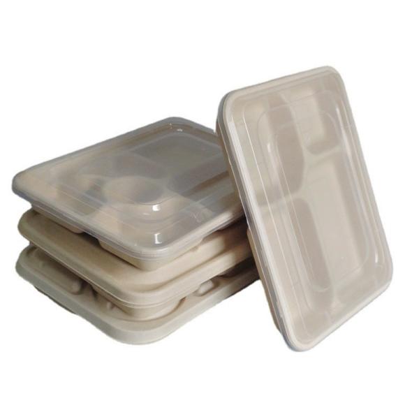 Disposable Rectangular Biodegradable Sugarcane Bagasse Trays Take Away Trays With Lids