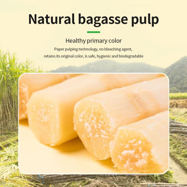 Harmless Compostable Party Tableware Sugarcane Bagasse Disposable Christmas Tray