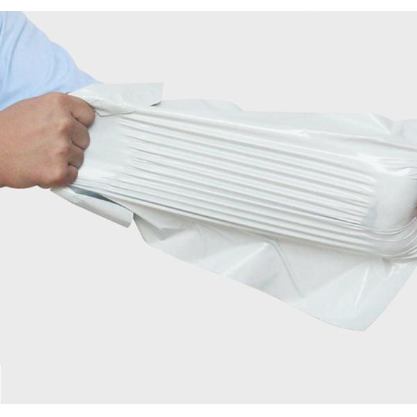 Custom Plastic Courier Bag with Pouch Fedex Express Bag with Transparent Pocket