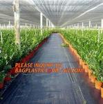 environmental biodegradable pp woven weed control mat, heavy dury pe tarpaulin