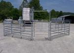 Hot Galvanized Heavy Duty Cattle Panels Horse Fence Panels With 1.8m H X 2.1m L
