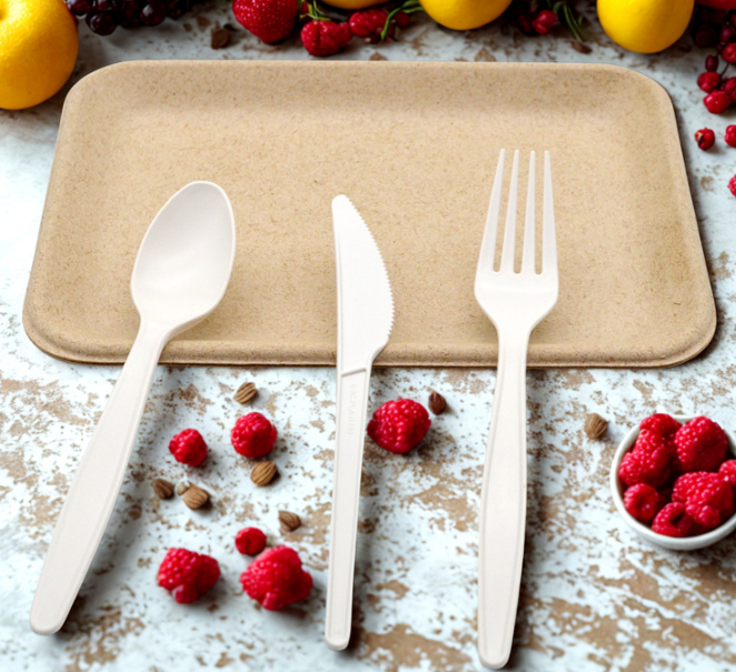 Benefits of choosing eco-friendly cutlery for environment, customers, and brand