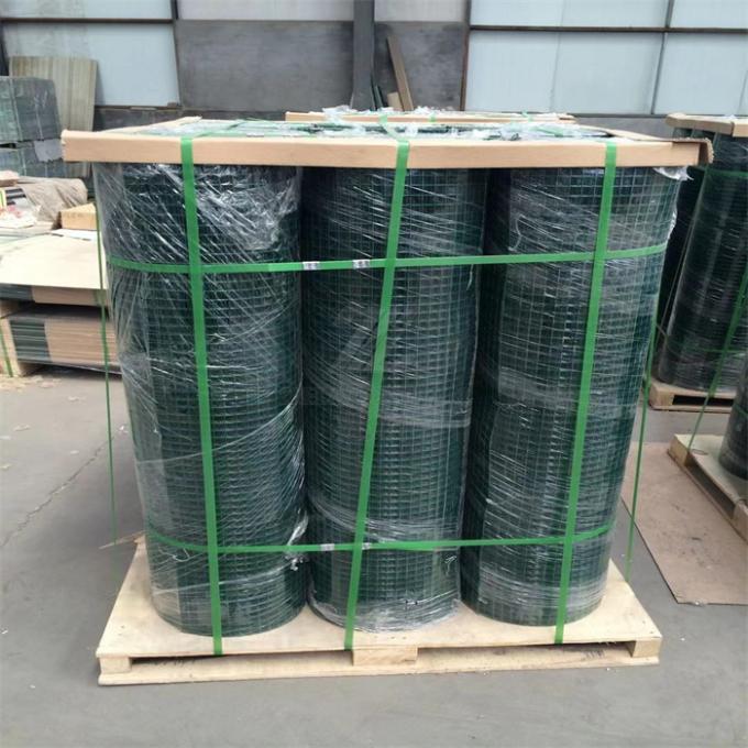 Electro Galvanized Welded Wire Mesh with Low-Carbon Iron Wire and Customizable Sizes for Various Applications