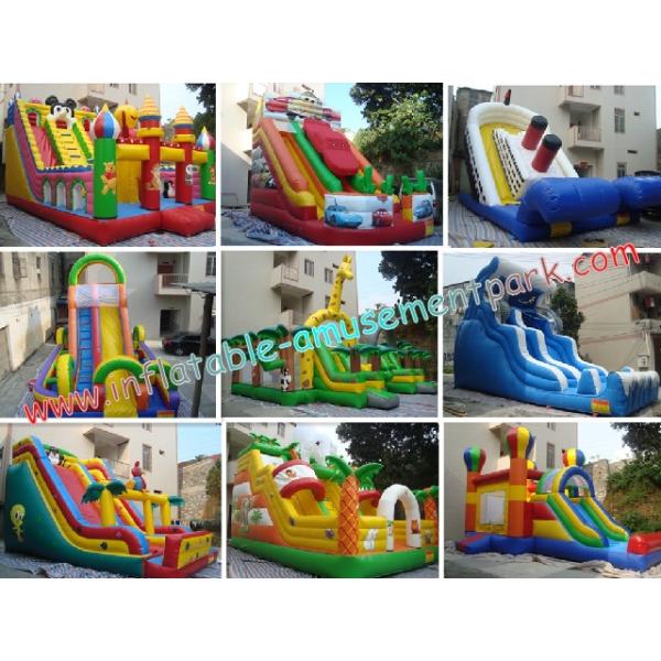 Inflatabl Giant Slide With Durable PVC Tarpaulin Commercial Inflatable Slide 10L x 6W x 8H