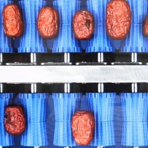 Stainless Steel Dates Sorting And Grading Machine 380V 10 Lanes