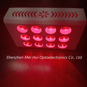 Buy cheap 40W PDT Red Light Therapy Machines Anti Aging Decrease Inflammation product