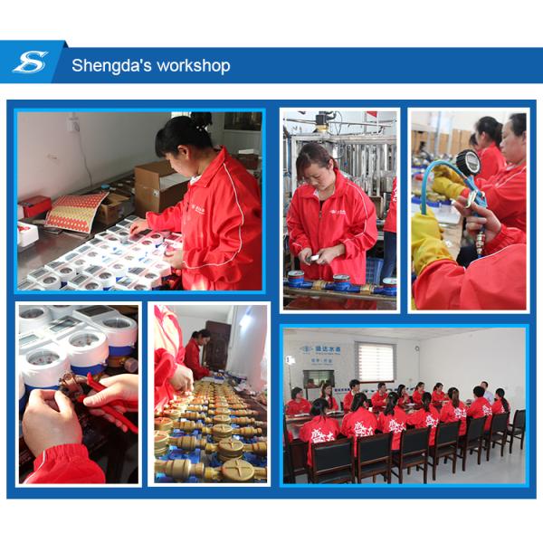 Shengda Water Meter Rf Frequency Vertical Prepaid Water Meter Digital Wet or Dry Type Brass
