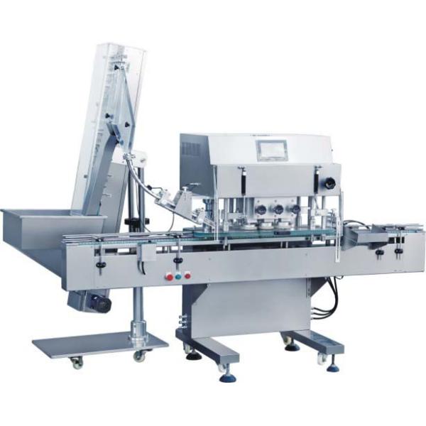 304 Stainless Steel Counting And Packing Machine with User-Friendly Design and Electric And Pneumatic Driven