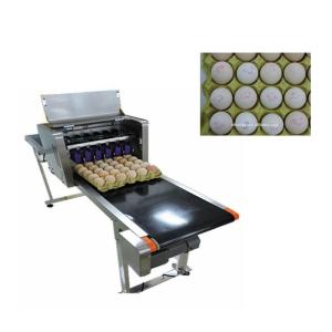 Green and efficient egg Jet Coding Machine , industrial continuous inkjet