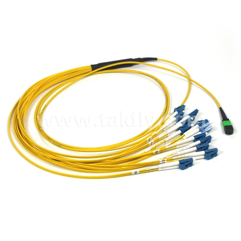 MTP-LC 24-Core Fan-Out Patch Cord for Data Centers