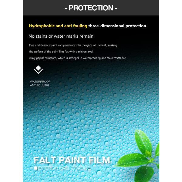 Customized Colors Eggshell Paint for House Project Anti-stain Washable and Long-lasting