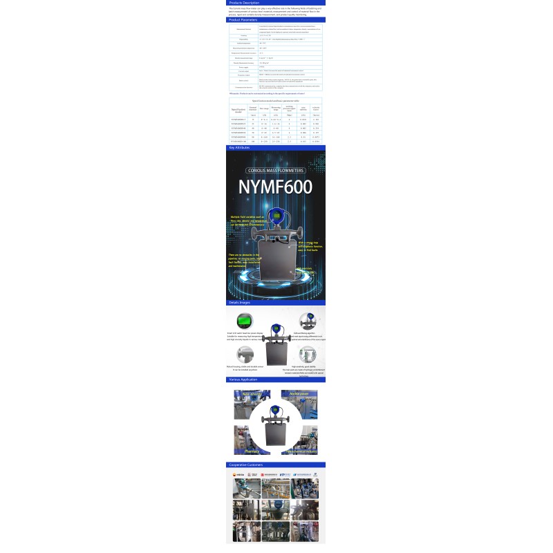High Temperature Mass Flow Meter | Resistant Industrial Flow Measuring Equipment