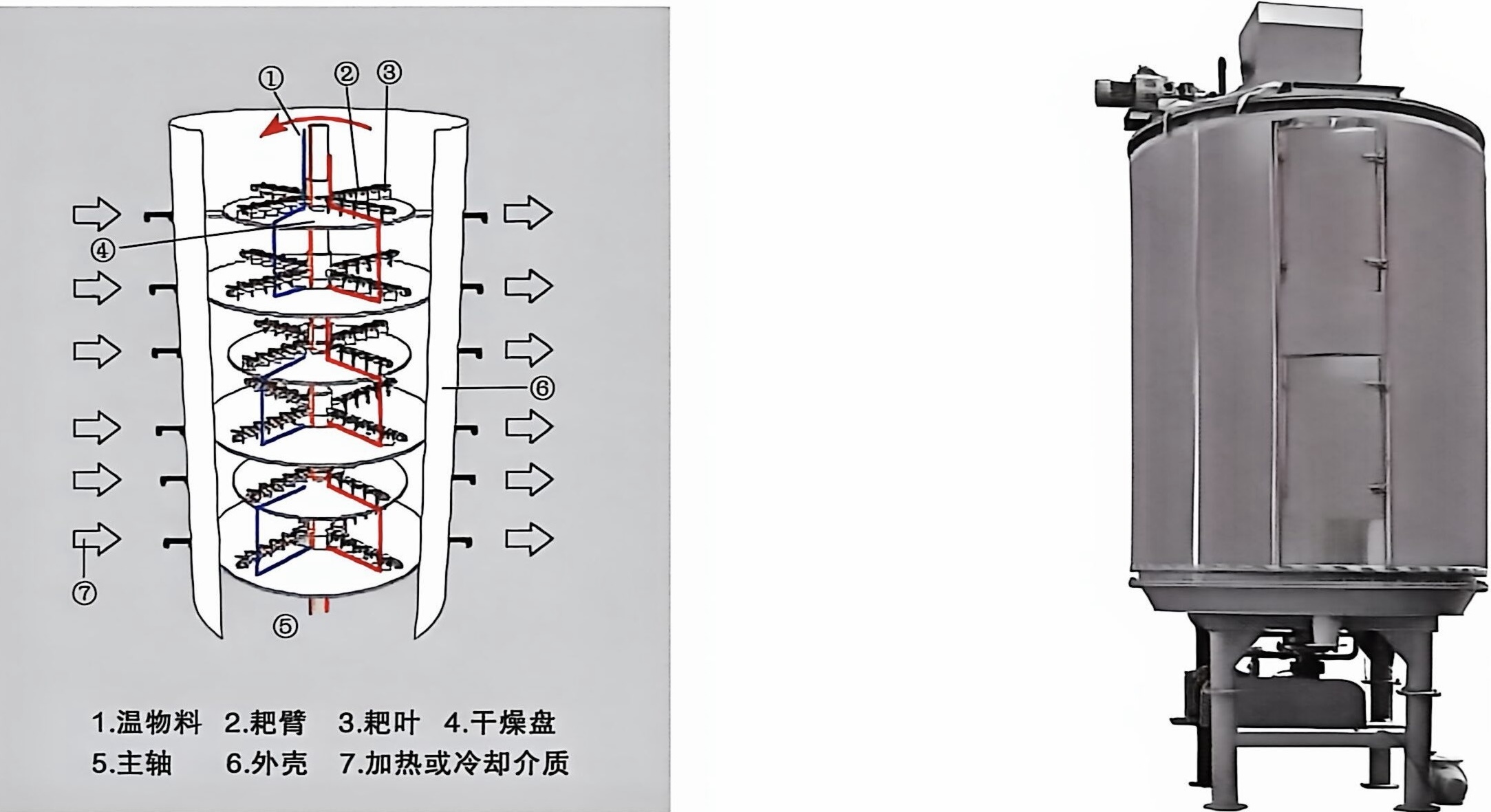 Continuous Plate Dryer Designed for Continuous Drying with Internal Rake System Ensuring Uniform Moisture and Temperature Management