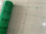 tomato used PE green plastic support net /plant climbing net on hot sale