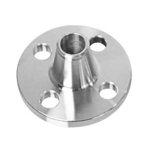 Forged Stainless Steel Weld Neck Flange Corrosion Resistant Customized