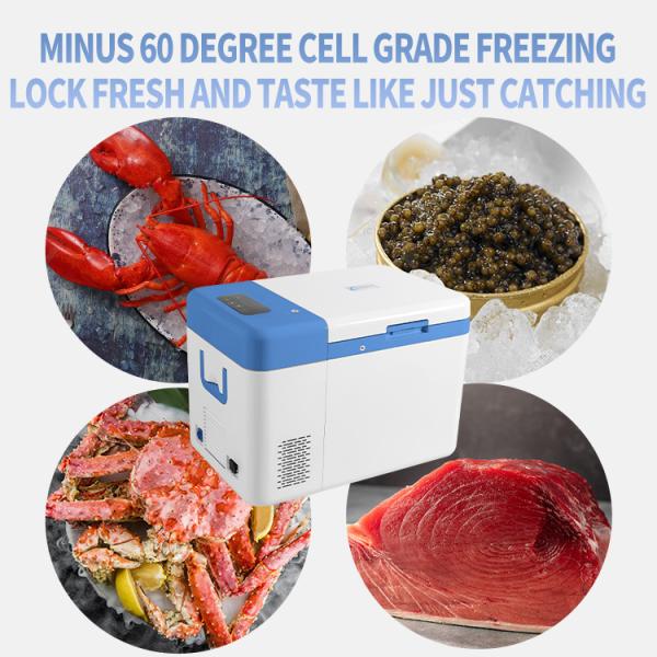 Minus 60 Degree Mini Freezer Classification Laboratory Refrigeration Equipments 1 Time