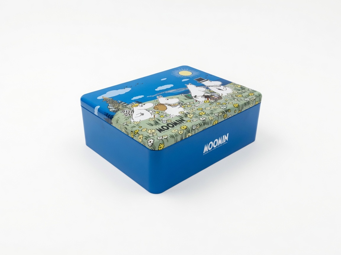 Customized Durable Rectangular Metal Storage Tin with Lid Canister for Cookies, Snacks, Kitchen Organization