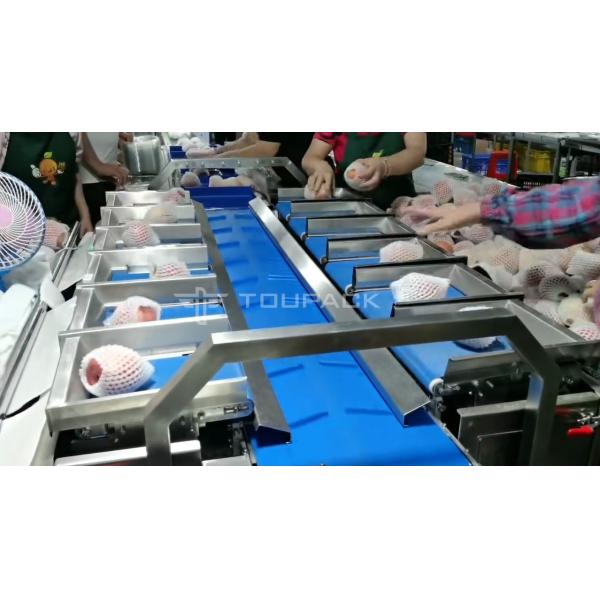 Pear Apple Weighing Fruit Combination Scale 12 Head Hand Loading Weighing Machine
