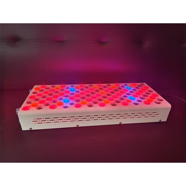 600w Body Care Red Light Therapy Device Red Nir Spectrum Customization For Flawless Skin