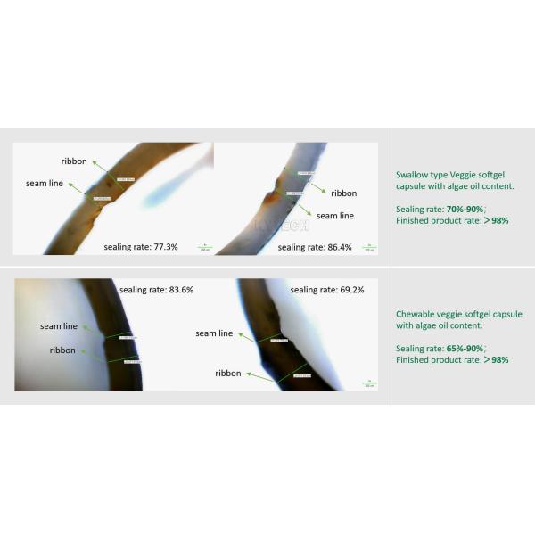 Softgel Production Line