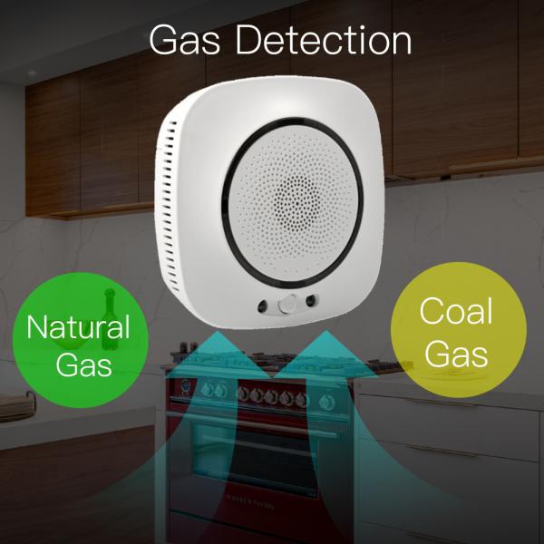 Tuya APP Smart WiFi Gas Detector Kitchen Cooking Gas Leak Alarm and Carbon Monoxide Detector