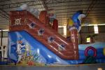 Pirate Themed Dolphins Commercial Inflatable Water Slides For Rental In