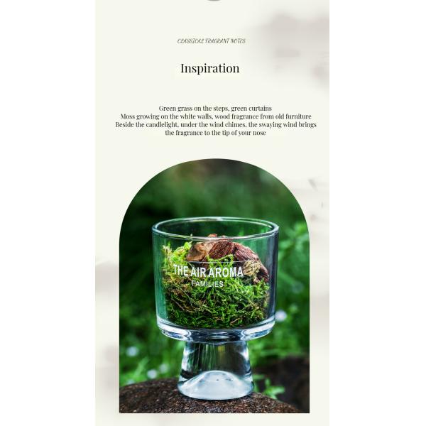 Designer 100ml Moss Diffuser Gift Set Keeping Air Fresh with Creative Scented Oil
