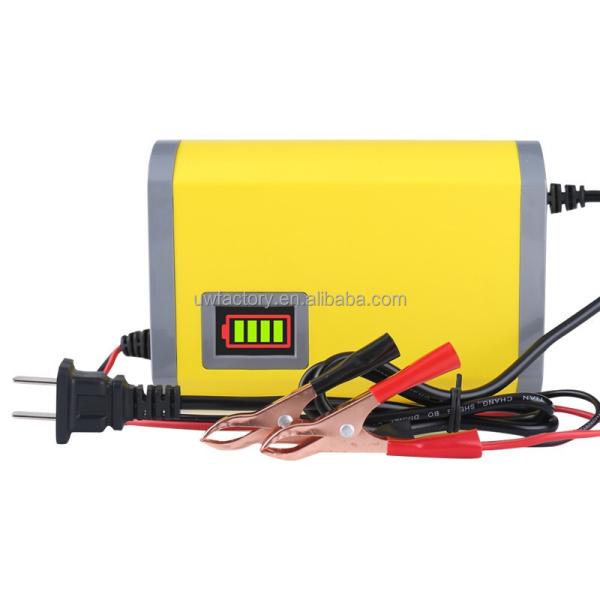 Electric Tricycle Battery Charger with Fast Charging Speed and Private Mold 12V 6A 10A