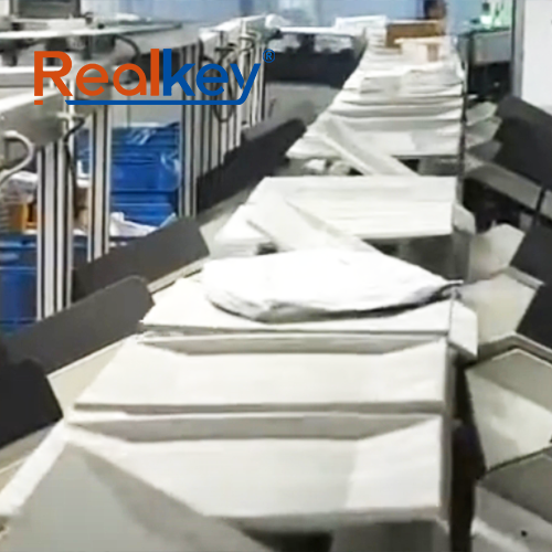 Customizable Parcel Sorting Conveyor High Performance For Warehouses