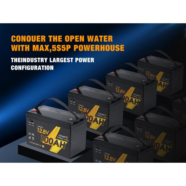 Deep Cycle Lifepo4 Lithium Ion Battery